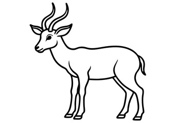 Elegant Markhor Line Art