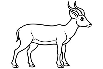 Elegant Markhor Line Art