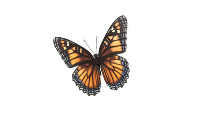 Fototapeta premium Vibrant Monarch Butterfly With Orange And Black Wings In Mid Flight Against Transparent Background
