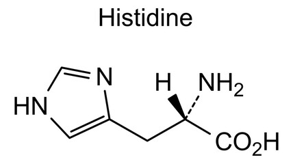 Chemical structure of histidine, drug substance