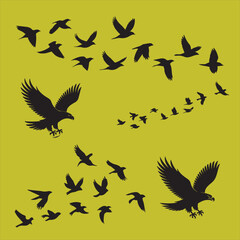 The Meaning and Symbolism Behind Different Birds