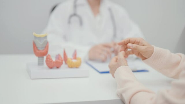 Elderly Patient having Neck pain and consulting  with Doctor to Thyroid disease. Anatomy Thyroid model for Hyperthyroidism, Hypothyroidism, Hashimoto Thyroiditis, Thyroid Tumor and Cancer