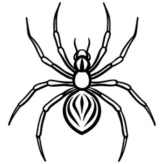 Simple Black Widow Spider Line Art Vector Design