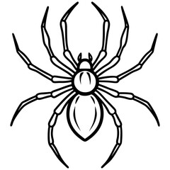 Simple Black Widow Spider Line Art Vector Design