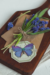 Blue muscari flowers Grape hyacinth on wooden board on white background. Spring concept