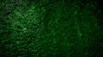 dark green water surface
