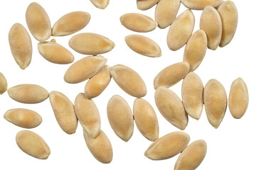 Common melon seeds lie on a PNG background.