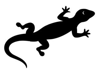 "Silhouette of Gecko on White Background – Minimalist Design"