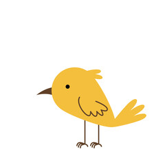 Casrtoon Bird Illustration