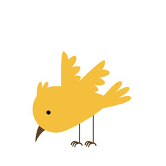 Casrtoon Bird Illustration