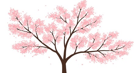 Fototapeta premium Delicate Pink Cherry Blossom Tree in Full Bloom