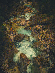 A fast-flowing mountain river winds through a dense forest near Kranjska Gora, Slovenia. Surrounded by evergreen trees and natural rocks, the clear water rushes over the rocky riverbed.