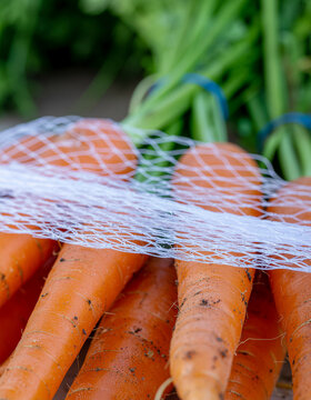 Closeup of bunch of carrots
