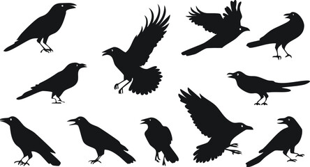 set of birds, Vector Illustration of Crow and Raven Silhouettes in Various Poses with Perched and Flying Birds &ndash; Minimalist Black Bird Outlines with Stark Contrast and Gothic Aesthetic

