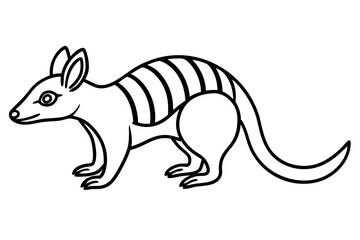 Elegant Numbat Sketch