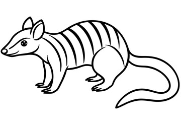 Elegant Numbat Sketch