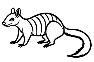 Elegant Numbat Sketch