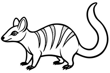 Elegant Numbat Sketch