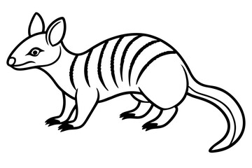 Elegant Numbat Sketch