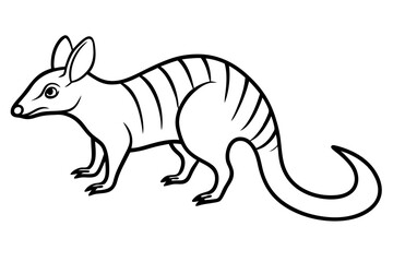 Elegant Numbat Sketch