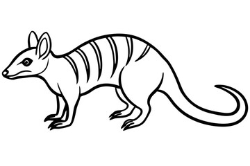 Elegant Numbat Sketch