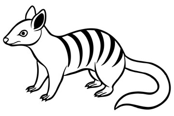 Elegant Numbat Sketch