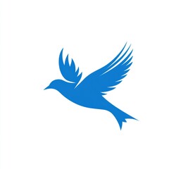 Obraz premium Bluebird Flight