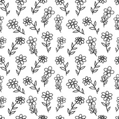 Seamless pattern. Chamomiles flowers. Sprigs with blooming daisies. Black and white vector doodle illustration hand drawn. Floral botanical elements. Spring and summer season. White background