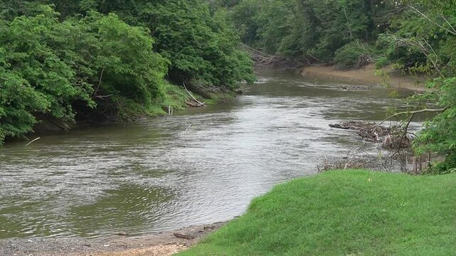 river in the jungle of darien