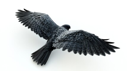 Obraz premium Dark Falcon in Flight