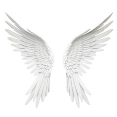 Obraz premium angel wings isolated on white
