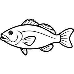 fish on a white background