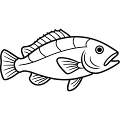 fish on a white background