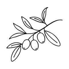 olive branch icon, olive branch line art - simple line art of olive branch, perfect for olive branch logos and icons