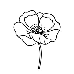 poppy flower icon, poppy flower line art - simple line art of poppy flower, perfect for poppy flower logos and icons