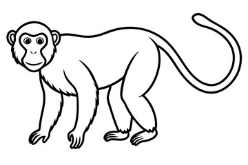 Elegant Proboscis Monkey Line Art