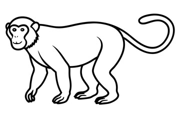 Elegant Proboscis Monkey Line Art