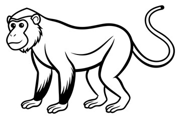 Elegant Proboscis Monkey Line Art