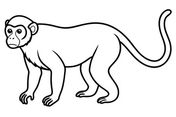 Elegant Proboscis Monkey Line Art