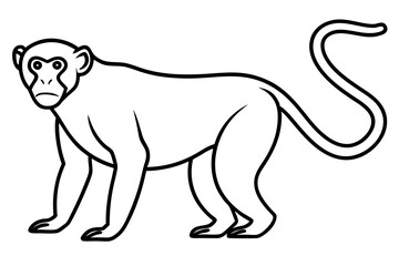 Elegant Proboscis Monkey Line Art