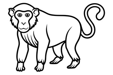 Elegant Proboscis Monkey Line Art