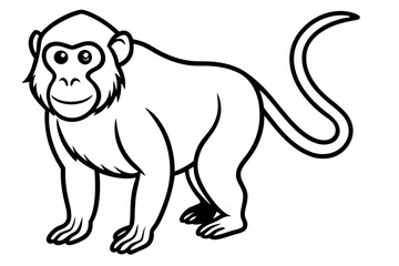 Elegant Proboscis Monkey Line Art