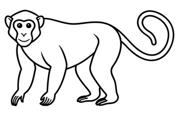 Elegant Proboscis Monkey Line Art