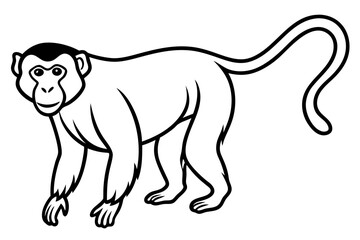 Elegant Proboscis Monkey Line Art