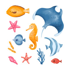 illustrations of various types of marine animals. cartoon Fish, Manta Rays, Seahorses, Starfish, Shells, Algae/Seaweed isolated. llustrations for children or as decorative elements with a marine theme