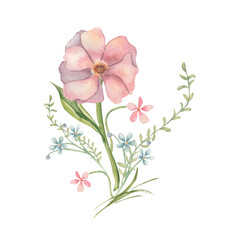 Pink big flower and tiny wildflowers, green wild grass watercolor soft colors isolated on white. Botanical drawing pastel tones in cottagecore style painted for seasonal design, wedding stationery.