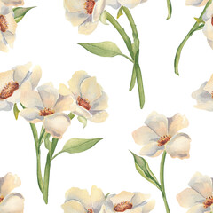 Seamless floral pattern of creamy anemones bouquet watercolor hand drawn. Elegant botanical repeat background with bunch of white flowers and leaves for textiles, wrapping paper, and wedding decor.