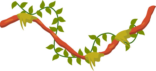 Jungle Liana Plants Illustration © Derek