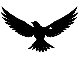 "Silhouette of a Bird in Flight with Spread Wings"