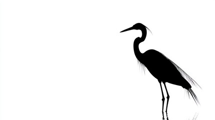 Obraz premium A black and white minimalist bird vector, set against white